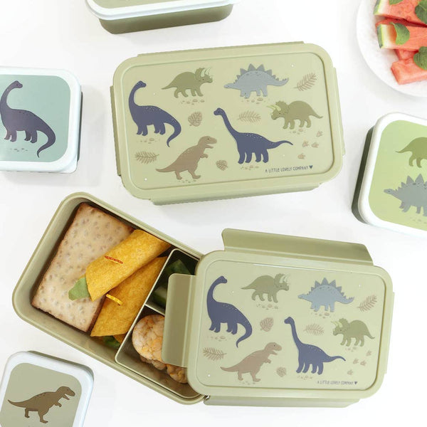 Dinosaur Bento Lunch Box