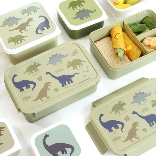 Dinosaur Bento Lunch Box