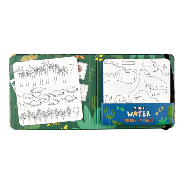 Dinosaur Magic Water Colour-In Pen & Cards