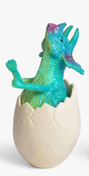 Hatching Dinosaur Toy