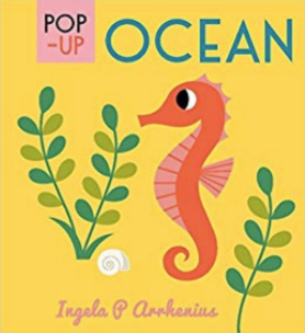 Ocean Pop-Up